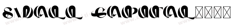SMALL CAPITAL字体转换